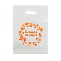 Пакет белый, с печатью (1+0)