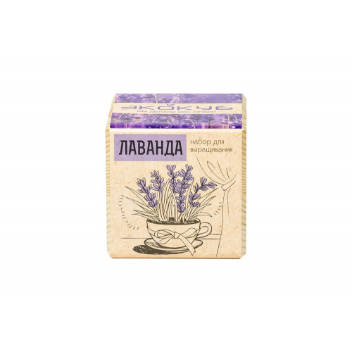 Набор для выращивания «Экокуб», лаванда