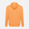 Толстовка мужская на молнии с капюшоном Amsterdam, светло-оранжевая