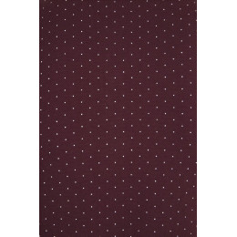 Рубашка поло мужская Brandy Men, белая с темно-синим