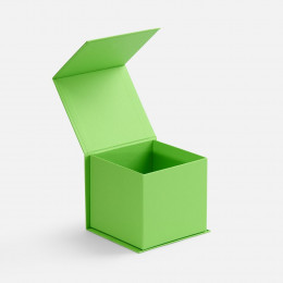Коробка Alian, светло-зеленая (салатовая)