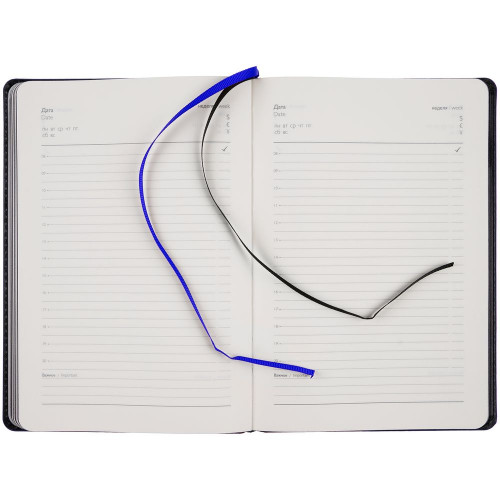 Ежедневник Alanis, недатированный, черный с синим
