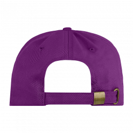 Бейсболка STAN 5 клиньев хлопок, 260, 112