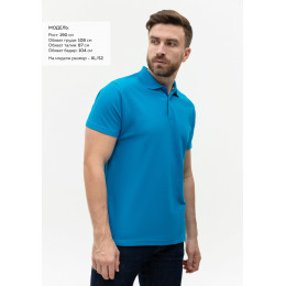 Рубашка поло мужская STAN хлопок/полиэстер 185, 04