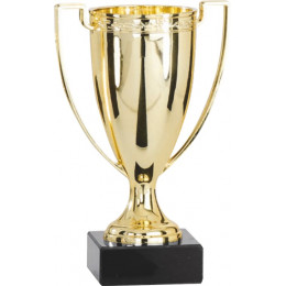 Кубок 9017C (13см)