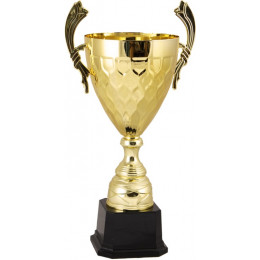 Кубок 2012B (49 см) D-200