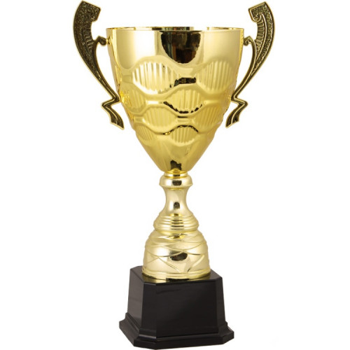 Кубок 2010B (54 см) D-220