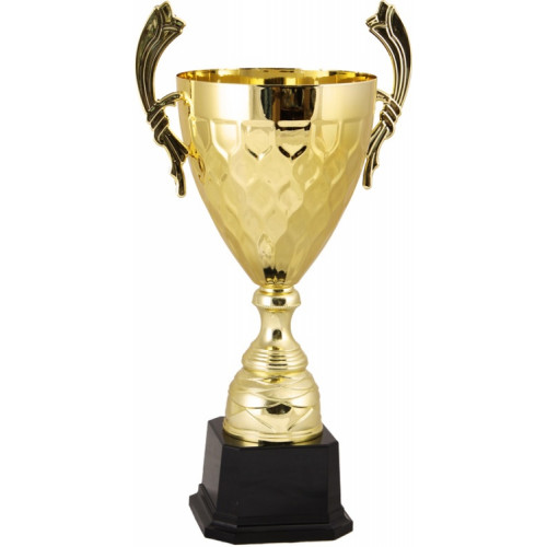 Кубок 2012C (48 см) D-180