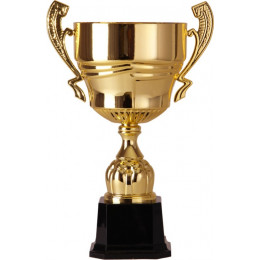 Кубок 2006C (48.5 см) D-220