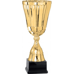 Кубок 3004C (35см) D-160