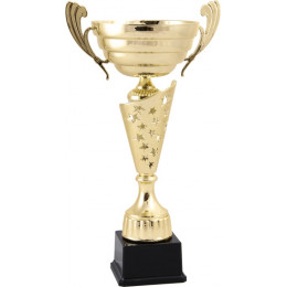 Кубок 4011-N/A (47см) D-180