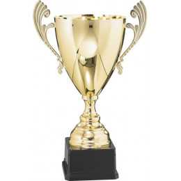 Кубок 3005E (30см) D-120