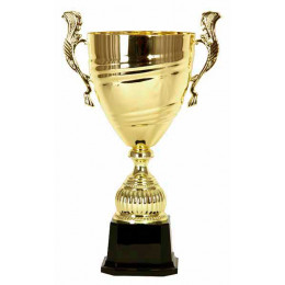 Кубок 3532F (25 см) D-100