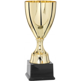 Кубок 4002D (24см) D-100