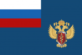 Флаг Федеральной службы Российской Федерации по контролю за оборотом наркотиков (ФСКН России)